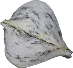 /images/price-list/to-yen-dac-biet.jpg Tổ Yến Thô Đặc Biệt