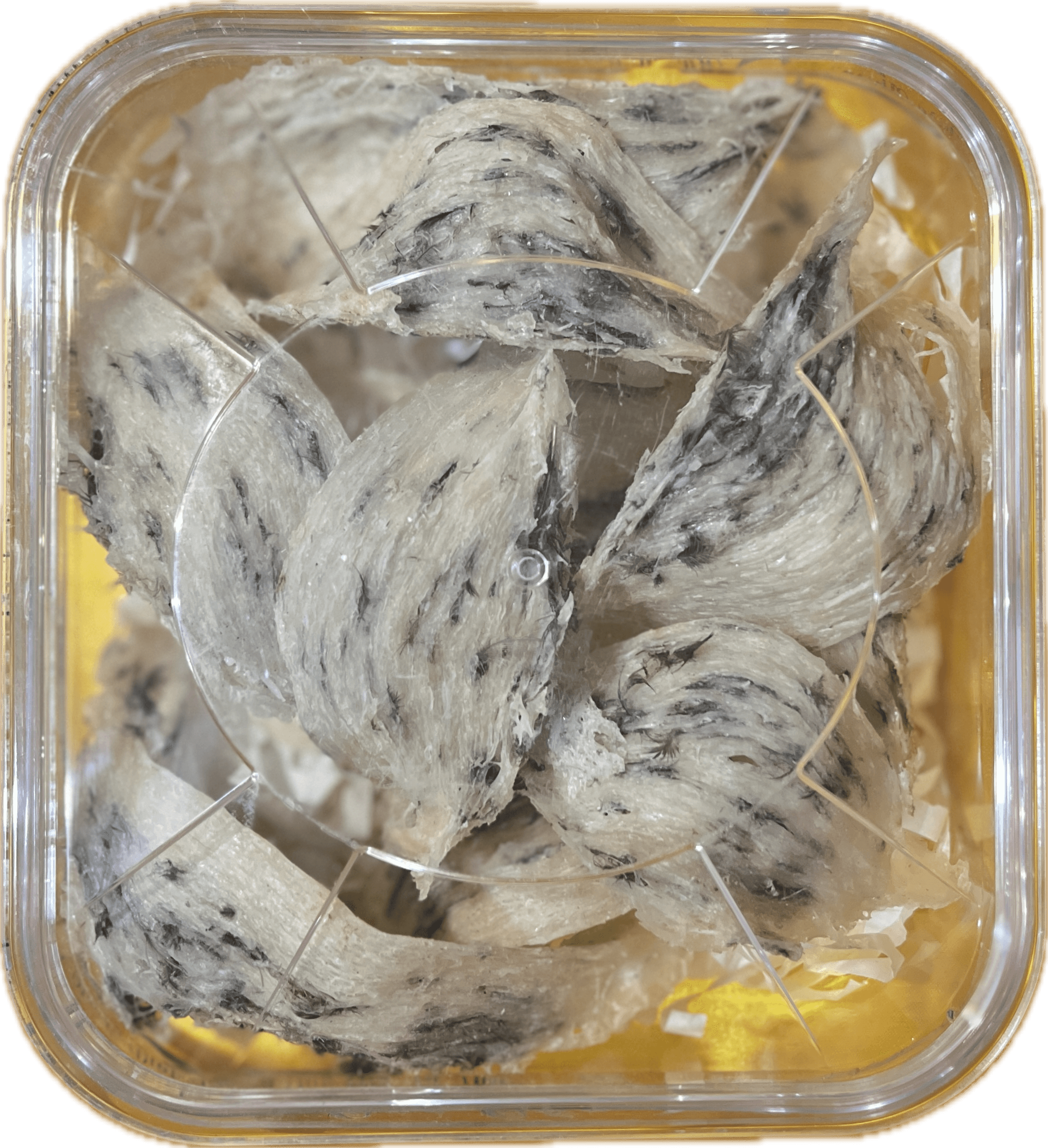 Tổ Yến Thô Tổ Yến Thô