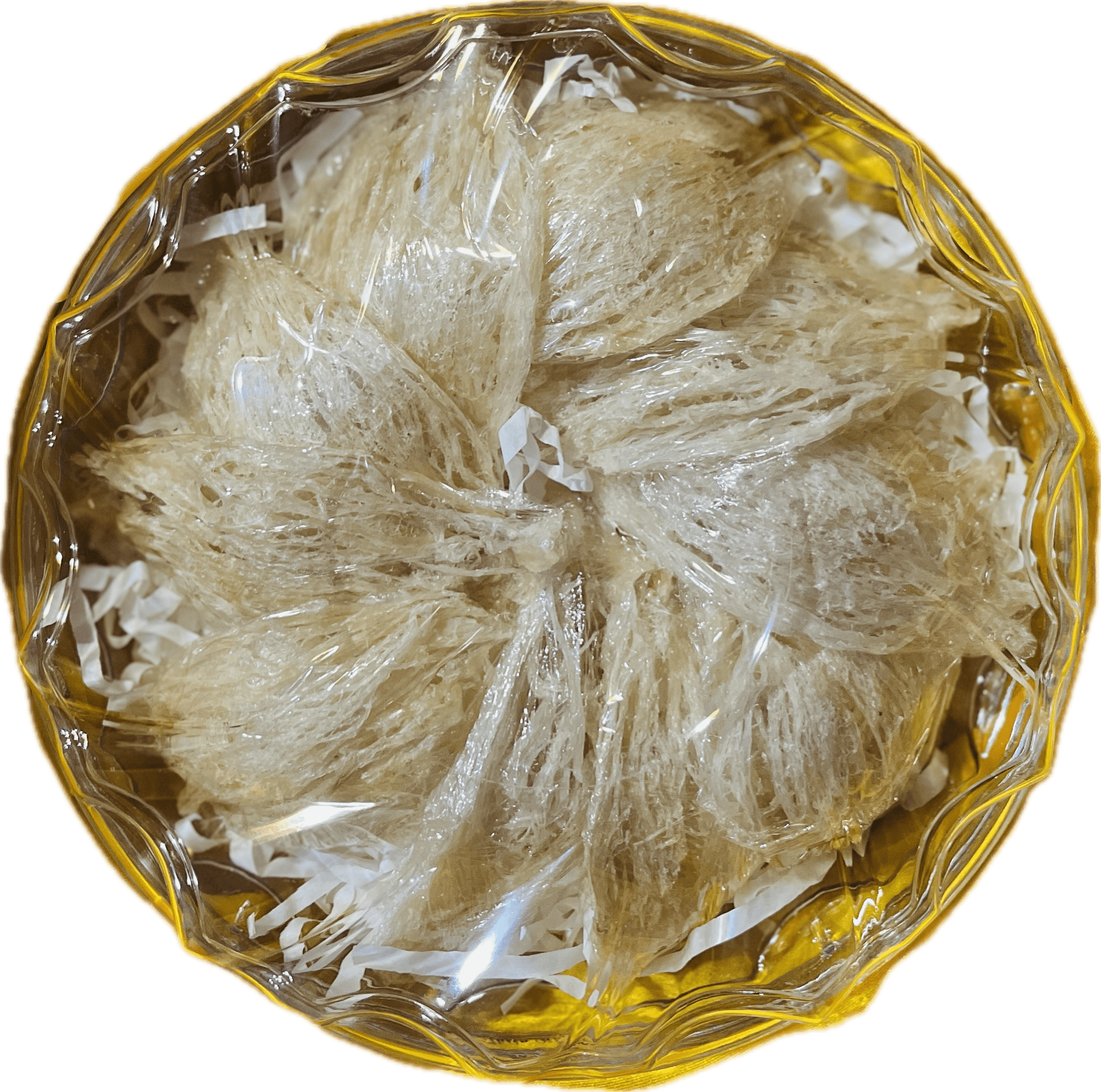 Tổ Yến Trắng Rút Lông Tổ Yến Trắng Rút Lông